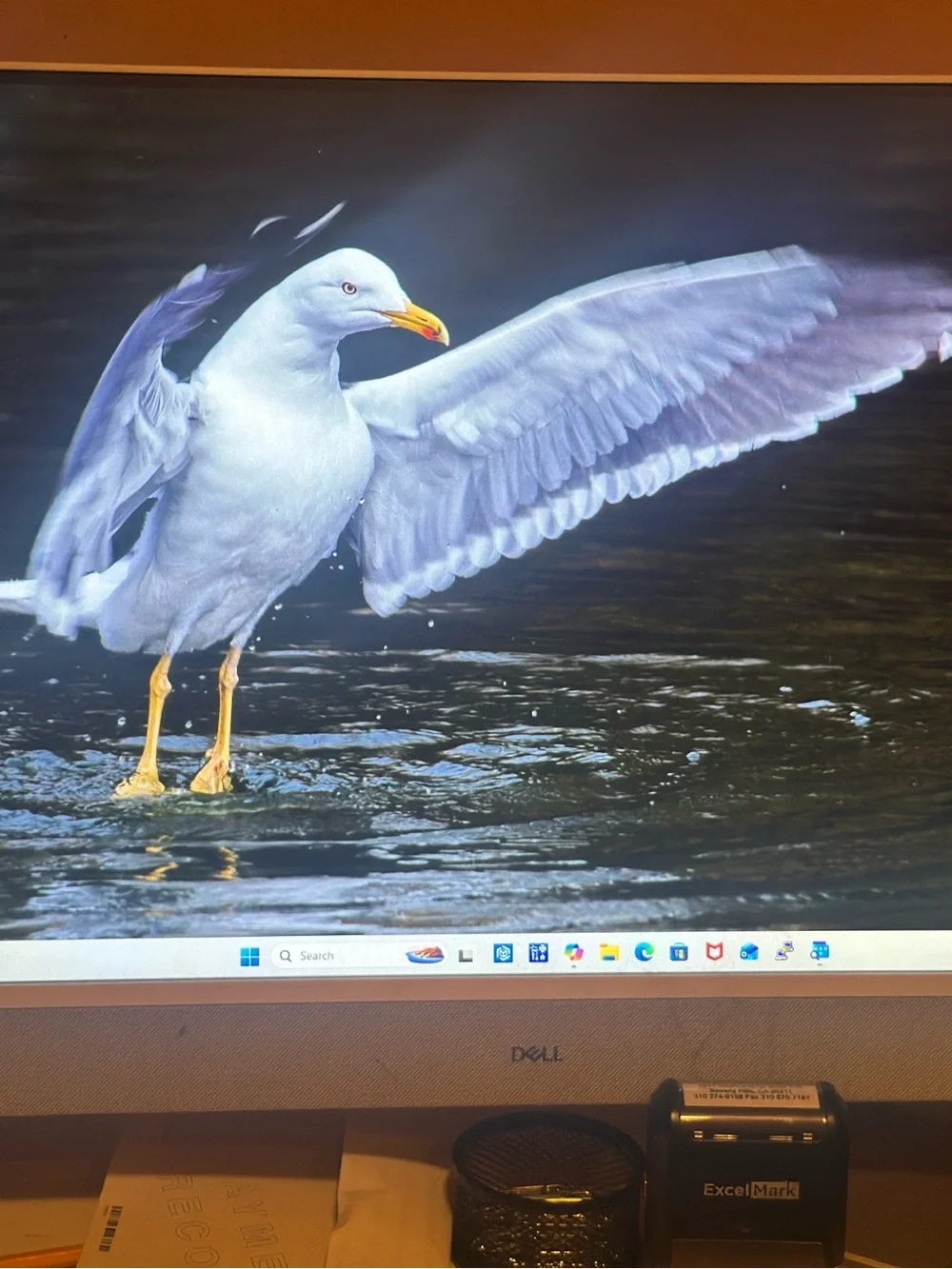 Dell All-in-One Desktop with White Frame and White Keyboard